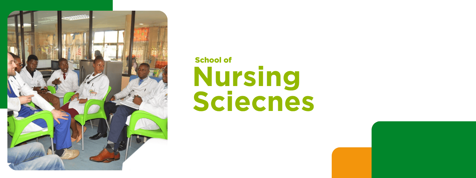 School of Nursing Sciences