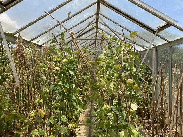 Agricultural Sciences departments
