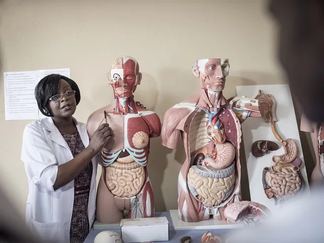 Lecturer doing an examination of a skeleton