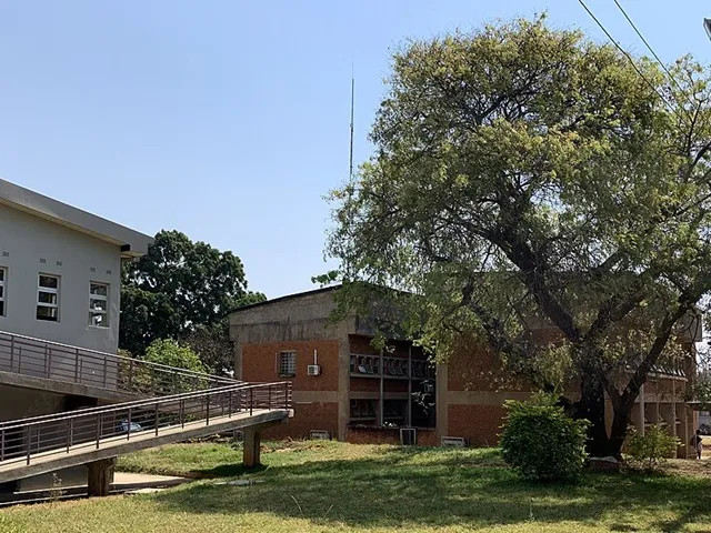 School of Medicine
