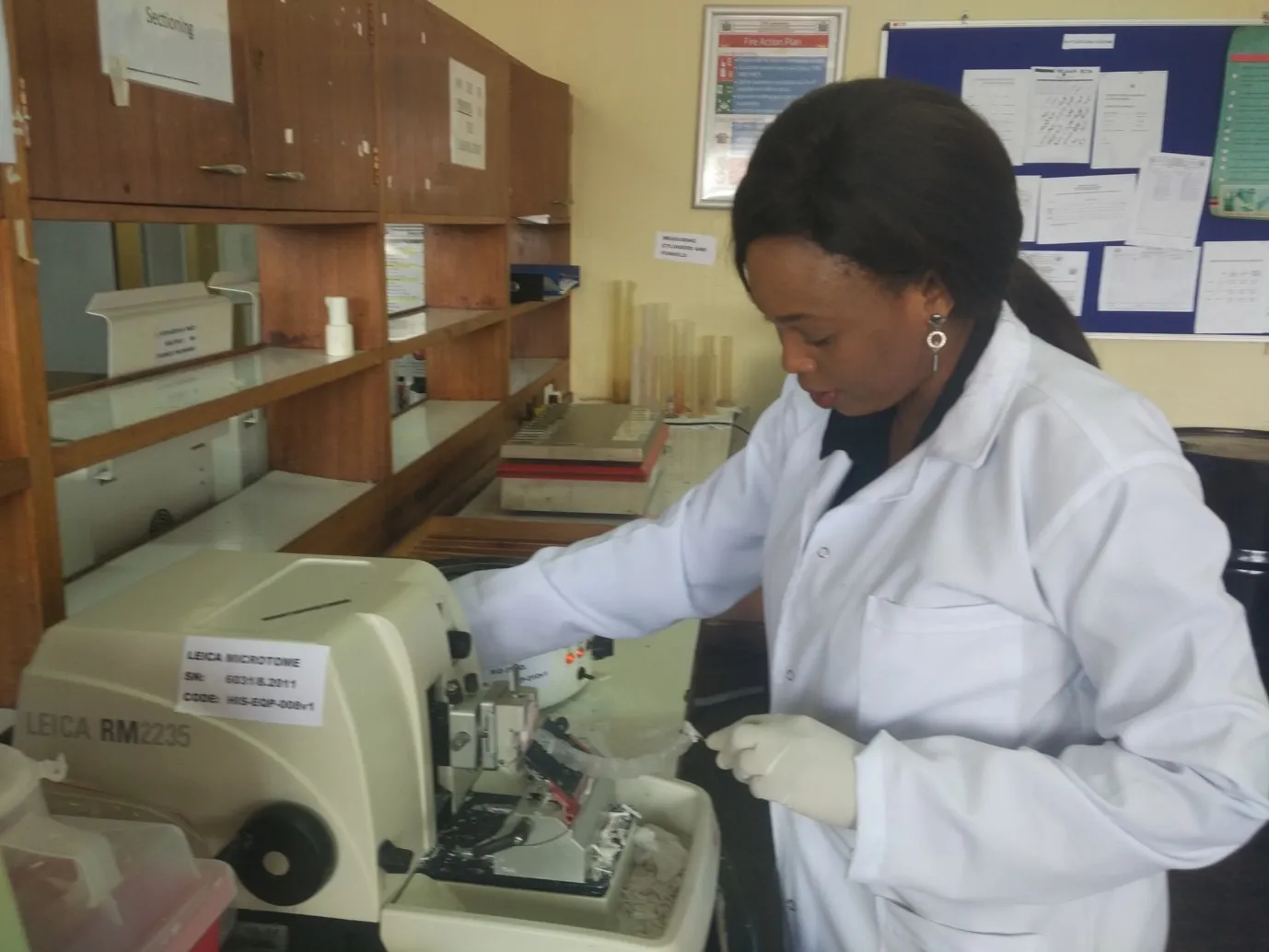 Student doing laboratory work