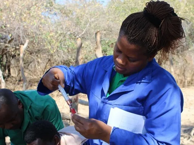 Veterinary Medicine student